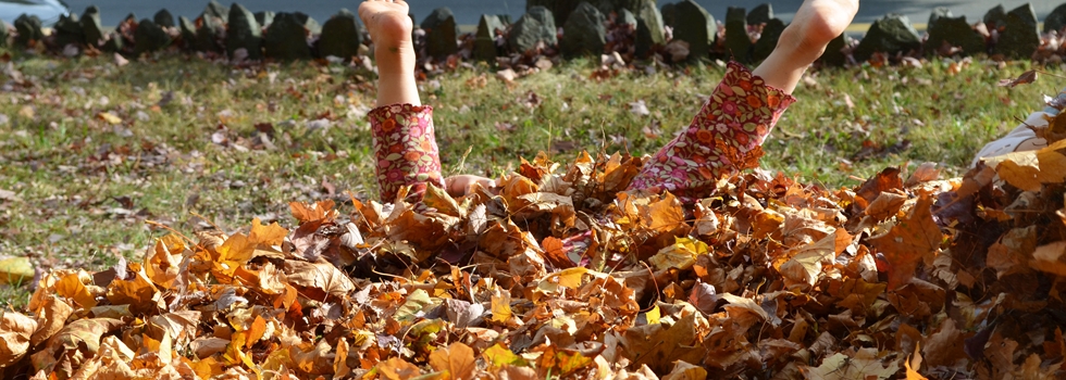 Child with feet sticking straight up out of a leaf pile